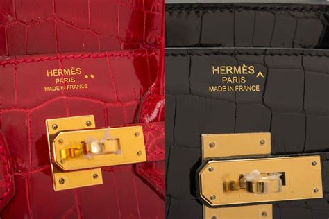 Hermes crocodile vs alligator